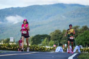 BIB: 
                            <button type="button" onclick="openModal(26542187)" class="btn btn-primary btn-sm float-right btn-popup" data-toggle="modal" data-target=".modal-high-quality">
                        <i class="fas fa-shopping-cart"></i> Add to Cart
                    </button>
                                            <button type="button" onclick="isThisMe(26542187, true)" class="btn btn-success btn-sm float-right btn-popup btn-isme hidden" data-toggle="tooltip" data-placement="bottom" title="นี่คือรูปของคุณใช่ไหม คลิกที่นี่เพื่อเอาเข้าอัลบั้ม">
                        <i class="fas fa-plus"></i> Add to album
                    </button>
                    <button type="button" onclick="isThisMe(26542187, false)" class="btn btn-warning btn-sm float-right btn-popup btn-isnotme hidden">
                        <i class="fas fa-ban"></i> Remove from album
                    </button>